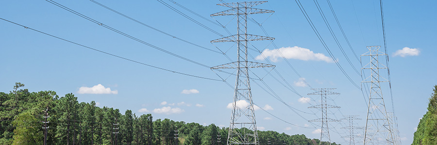 Power lines going through a forest along an easement